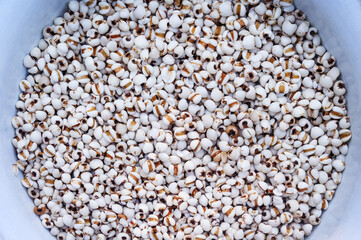 Coix lacryma jobi  or Job’s tears in white bowl, Healthy food top view background