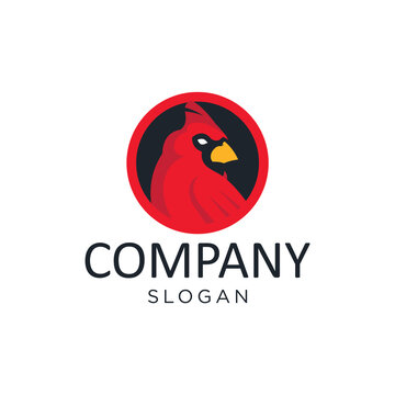 Cardinal Bird Logo Concept