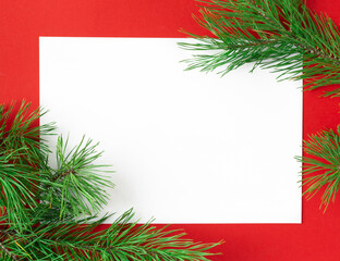 A frame of fir branches frames a white leaf on a red background.  New Year concept. With space for text