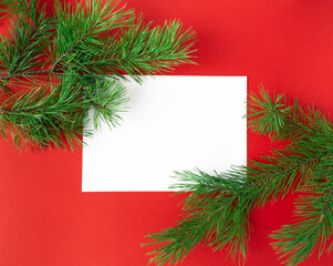 Fototapeta na wymiar A frame of fir branches frames a white leaf on a red background. Christmas concept. With space for text