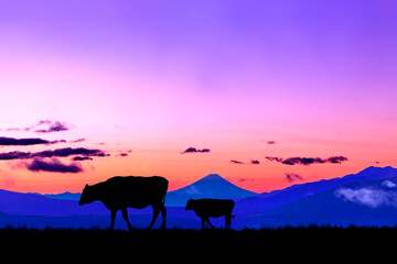 Fototapeta na wymiar 朝焼けの空に富士山のシルエットを背景に、高原の牧場を歩く牛のシルエット