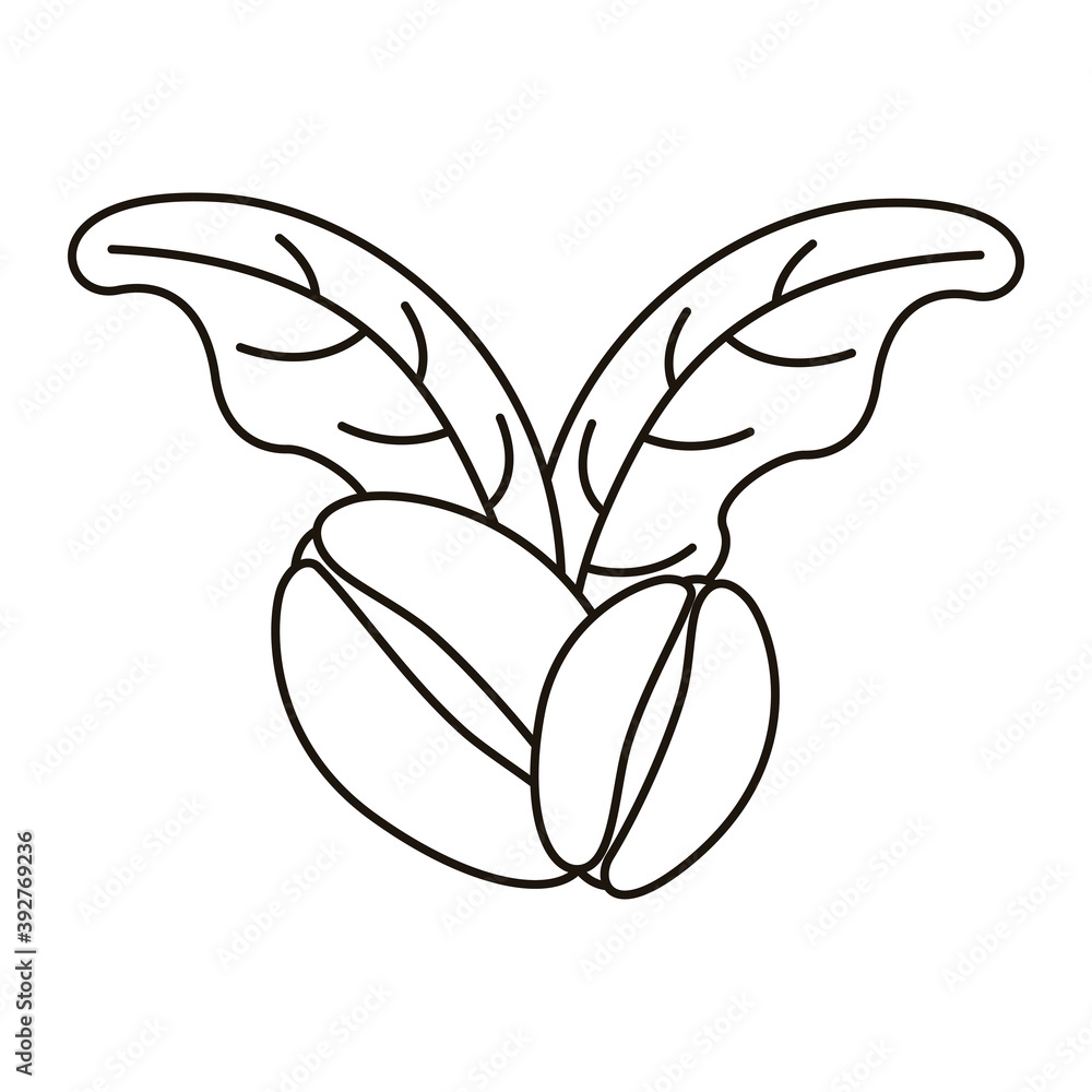 Poster coffee seeds and leafs plant line style icon