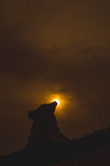 Silhouette of Nandi idol sun at in the place of head