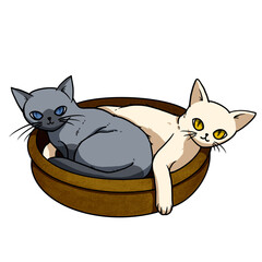 Two cats, white and black curled up in a basket. cartoon character for decoration in pet artwork advertising, clip art, textbook for small children.