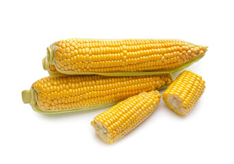 Fresh corn cobs on white background