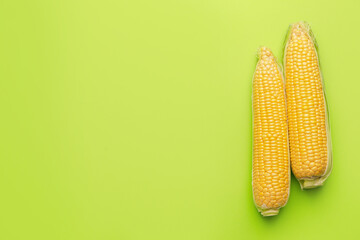 Fresh corn cobs on color background