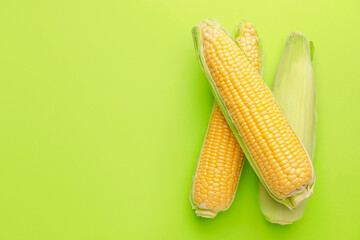 Fresh corn cobs on color background