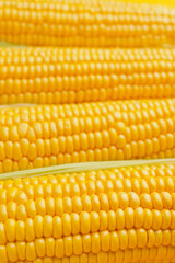 Fresh corn cobs as background, closeup