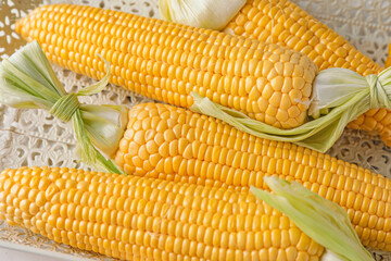 Fresh corn cobs on tray