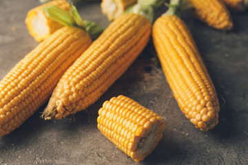Fresh corn cobs on grey background