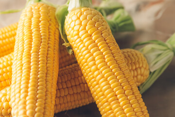 Fresh corn cobs on table, closeup