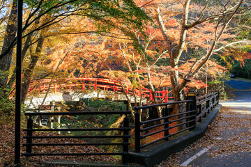 伊香保温泉　河鹿橋　紅葉