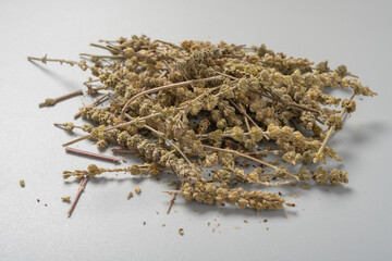 side view jingjiesui or Herba Schizonepetae