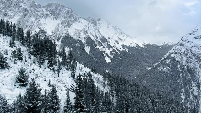 Drone flies over the winter forest and snowy mountain slopes in winter in Kananaskis, Alberta, Canada