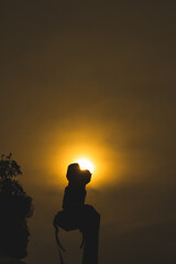 Fototapeta premium Silhouette of camera with sun in the lens hood