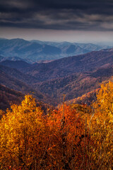 Naklejka premium Autumn in the Newfound Gap overlook in the Great Smoky Mountain National Park