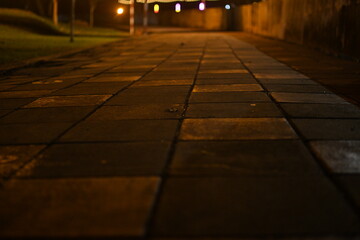 street in the night on the stone walking path