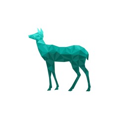 Vector. Abstract polygonal deer. Geometric linear animal. White background