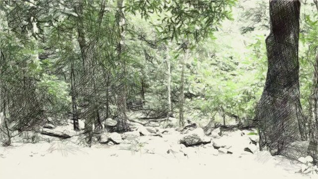 art drawing color of forest background