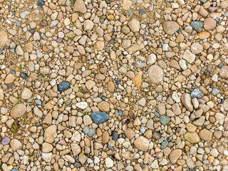 Natural river stony bottom, shallow riverbed during autumn weather on a Sunny day in a mountainous area.