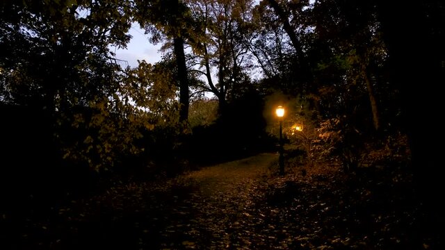 walk down an eerily dark path in a New York City park at sunset, streetlamps are the light
