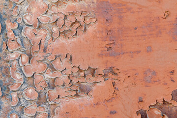Surface with old backdrop paint. Brown paint with cracks and peeling. Dry keratinized skin concept.