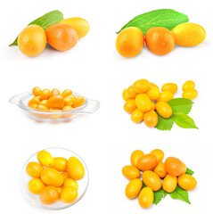 Group of kumquats close-up on white