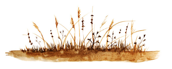 Watercolor autumn landscape. Brown grass with high ripe spikelet isolated on white background. Hand drawn illustration of withering field. Gold autumn