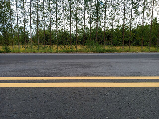 Obraz premium Yellow traffic lines and trees