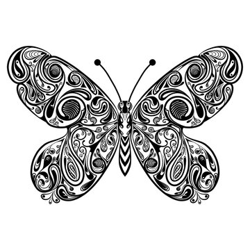 The butterfly with the black outline for drawing inspiration