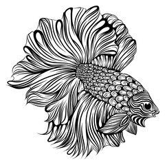 The small beta fish with the big and long tail the body full of zentangle