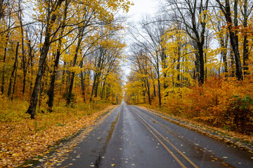 Obraz premium A road through forest with Autumn yellow leaves at Pictured Rock National Lakeshore in Michigan. Fall colors