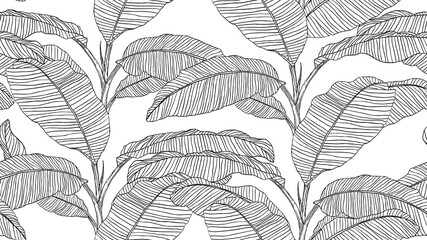 Botanical seamless pattern, hand drawn line art banana tree on white