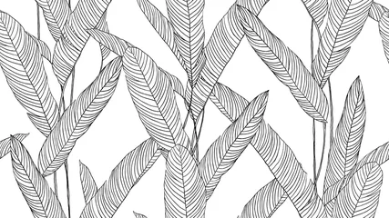 Fototapeten Botanical seamless pattern, hand drawn line art tropical plant on white © momosama