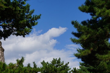 青い空と緑の自然