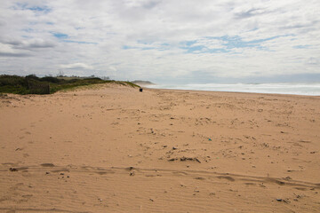 Footprints and Vehicle Tracks Leading Across Expansive Beach