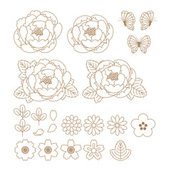 ボタンの花　イラスト素材