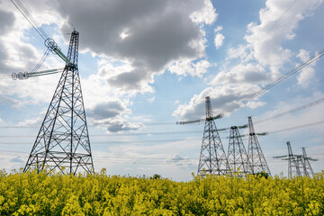 Power lines and high-voltage lines against the backdrop of blooming oilseed rape on a summer day.