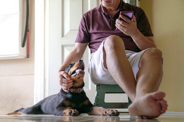 Fototapeta na wymiar Man stroking the head of his dog while reading on his smartphone