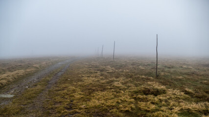 fog on the mountain trail meadow