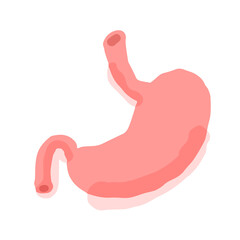 Human stomach; Hand drawn vector illustration like woodblock print