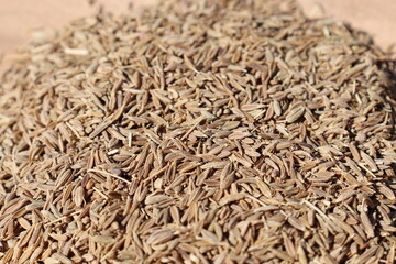 healthy and spicy Cumin stock