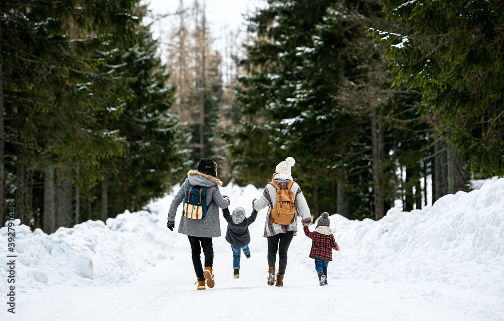 Wall mural Rear view of family with two small children in winter nature, walking in the snow.