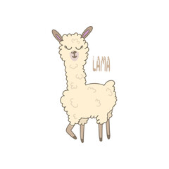 Vector color children's illustration, poster, print with a cute llama on a white background. Alpaca. Cute baby animals.