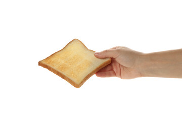 Female hand hold toast bread, isolated on white background