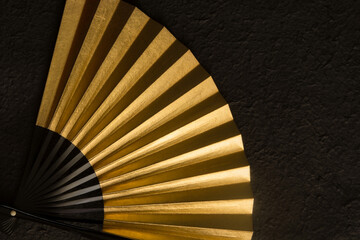 Japanese traditional folding fan