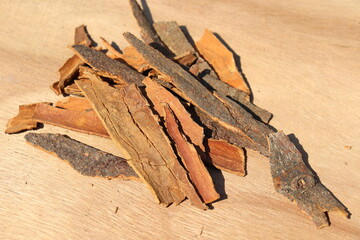 healthy and spicy Cinnamon stock