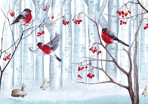 Watercolor winter birds © Юлия Бисерова