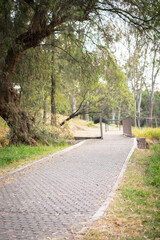 naturaleza