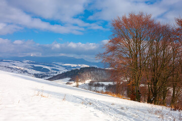 Obraz premium rural landscape in wintertime. trees on the snow covered hill. beautiful scenery of carpathian mountains. village in the distant valley. wonderful frosty and sunny weather, clouds on the sky
